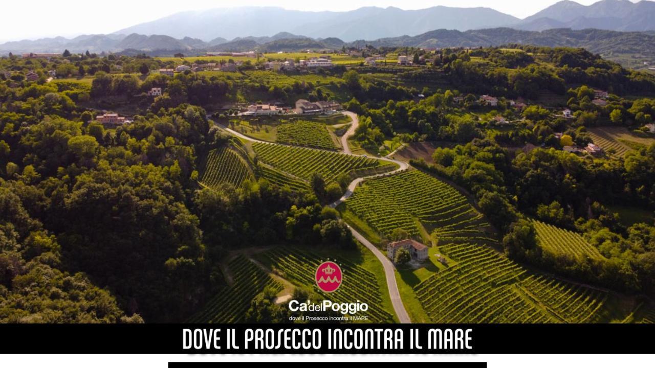 Villa Del Poggio Prosecco Bike Hotel San Pietro Di Feletto Екстер'єр фото